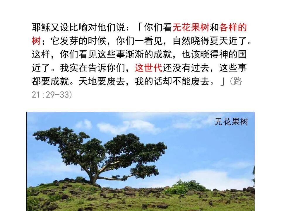 圣经图表——《路加福音》下(图71)