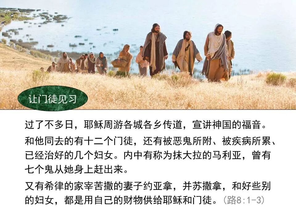 圣经图表——《路加福音》中(图15)