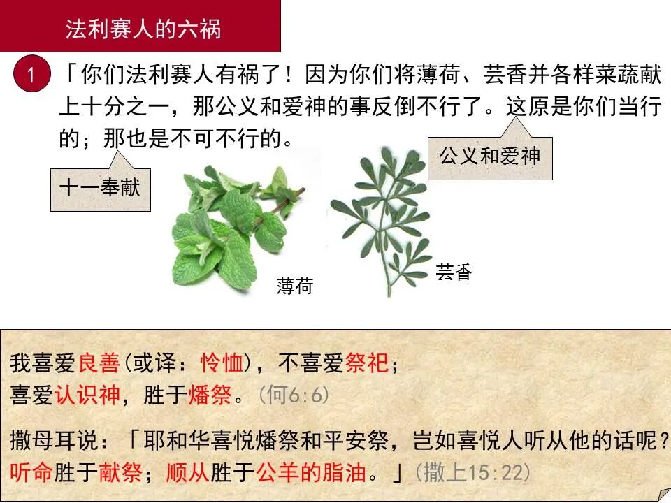 圣经图表——《路加福音》中(图77)