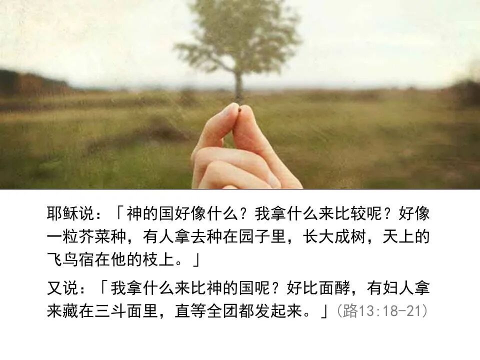 圣经图表——《路加福音》中(图97)