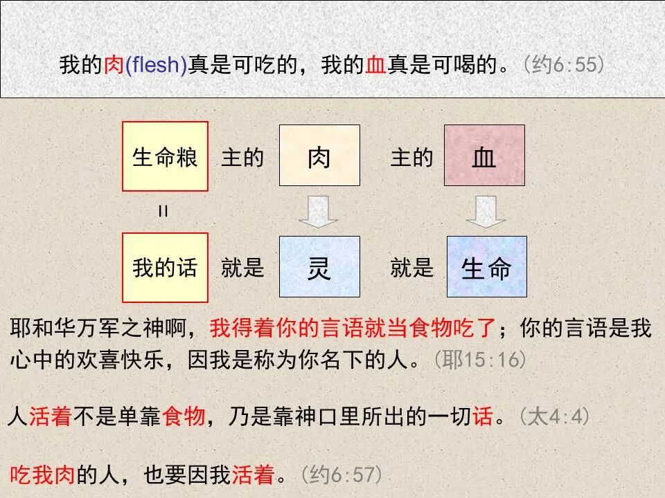 圣经图表——《约翰福音》上(图66)