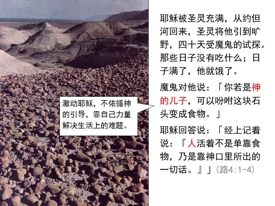 圣经图表——《路加福音》上(图50)