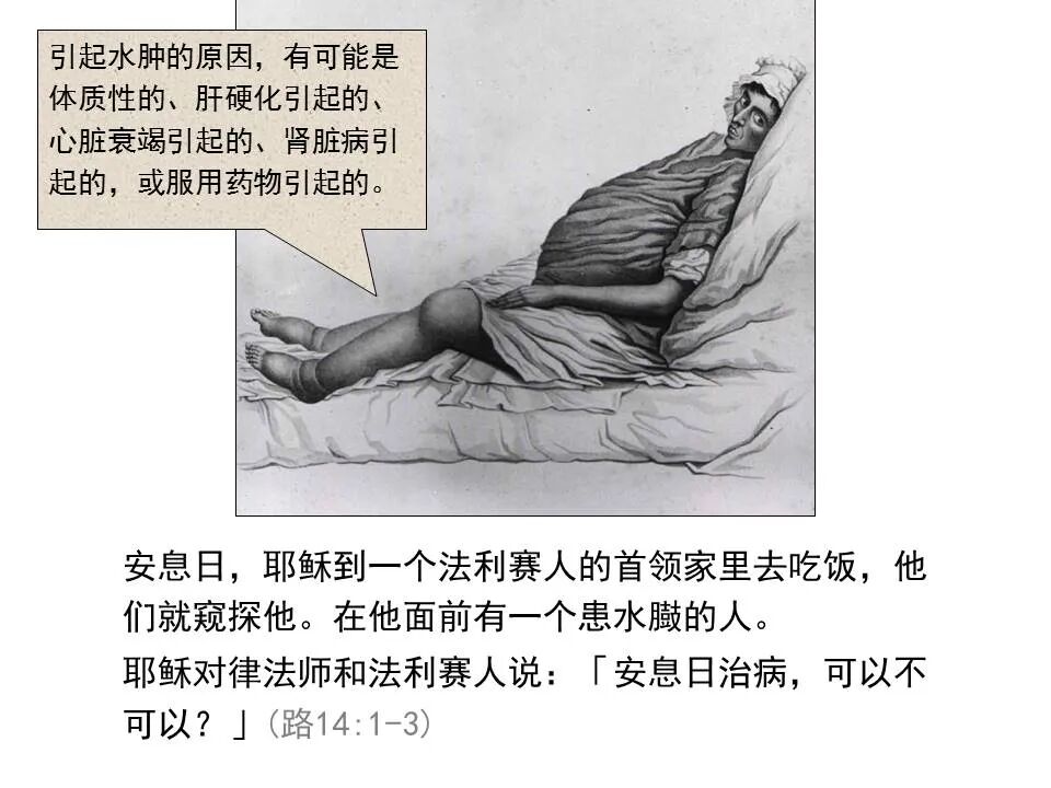 圣经图表——《路加福音》中(图102)