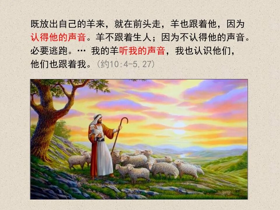 圣经图表——《约翰福音》下(图115)