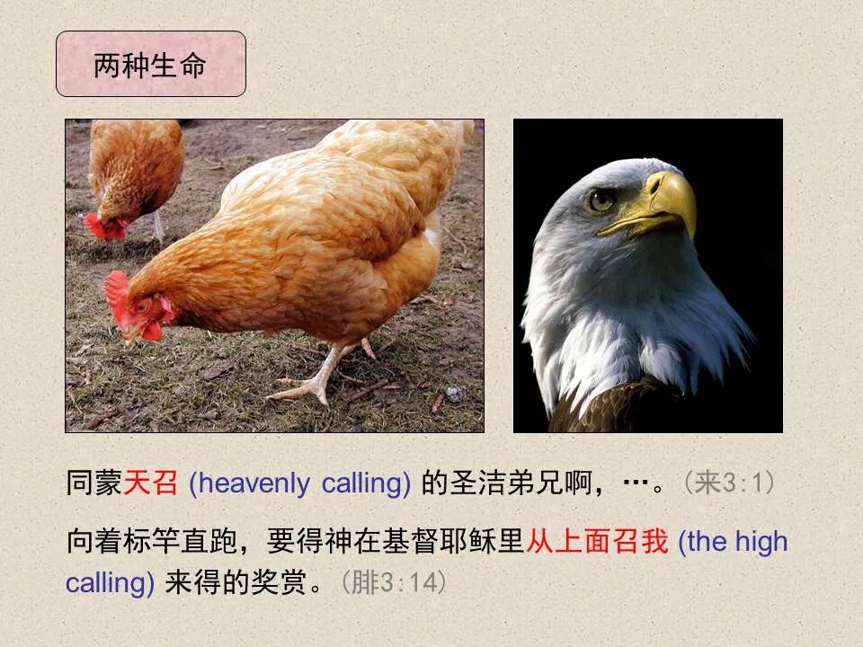 圣经图表——《约翰福音》下(图45)