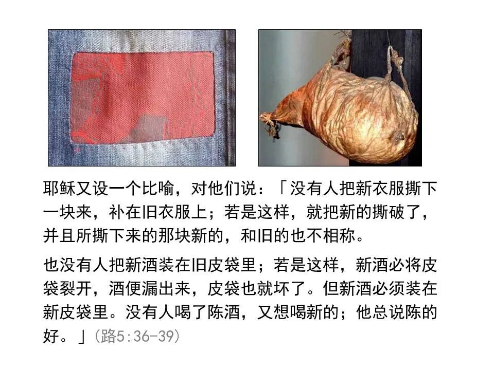 圣经图表——《路加福音》上(图76)