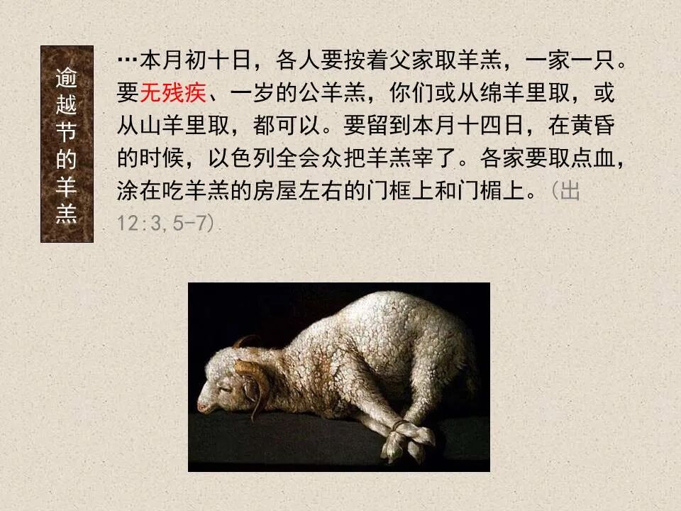 圣经图表——《约翰福音》下(图67)