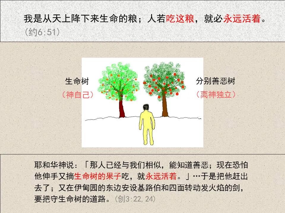 圣经图表——《约翰福音》上(图61)