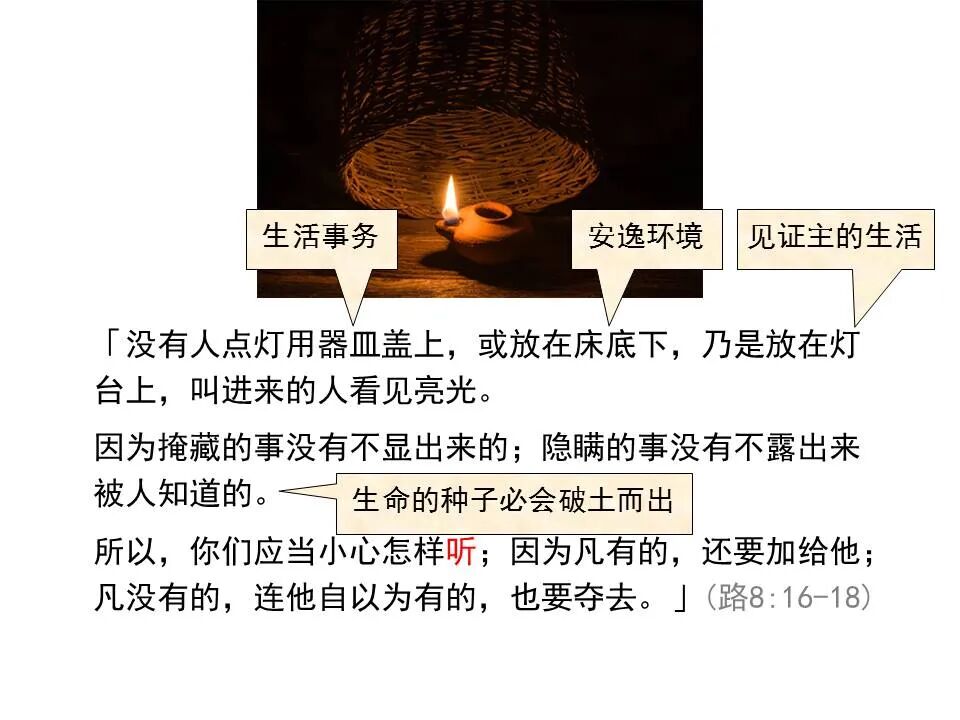 圣经图表——《路加福音》中(图18)