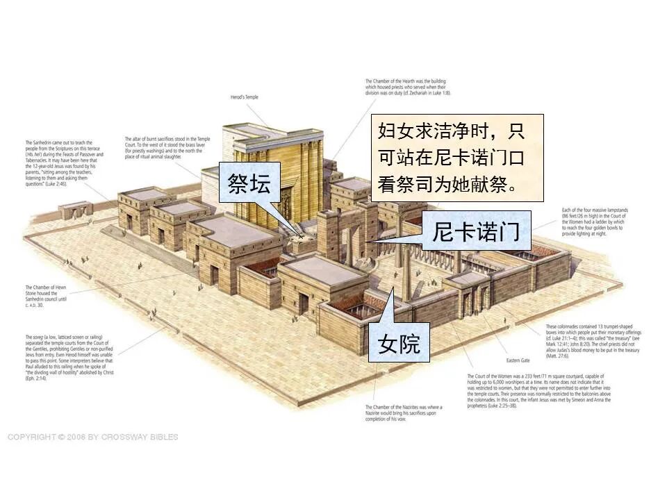 圣经图表——《路加福音》上(图31)