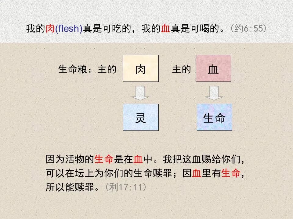 圣经图表——《约翰福音》上(图65)