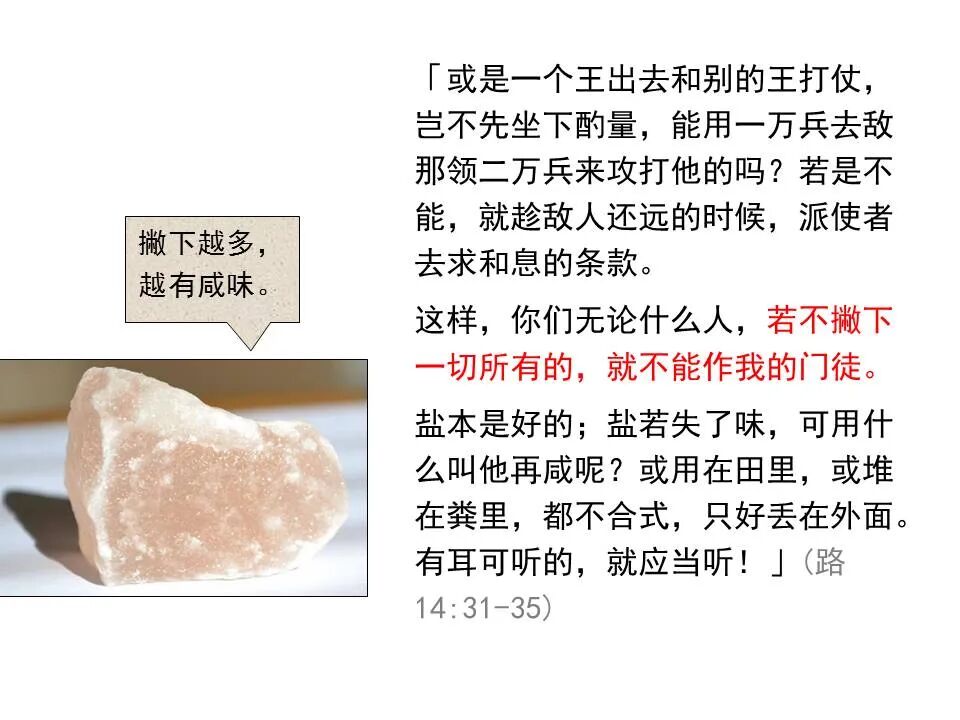 圣经图表——《路加福音》中(图109)