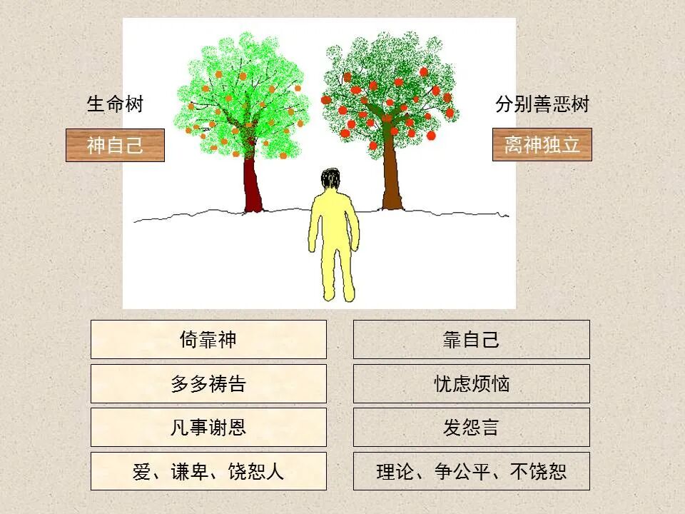 圣经图表——《约翰福音》上(图105)