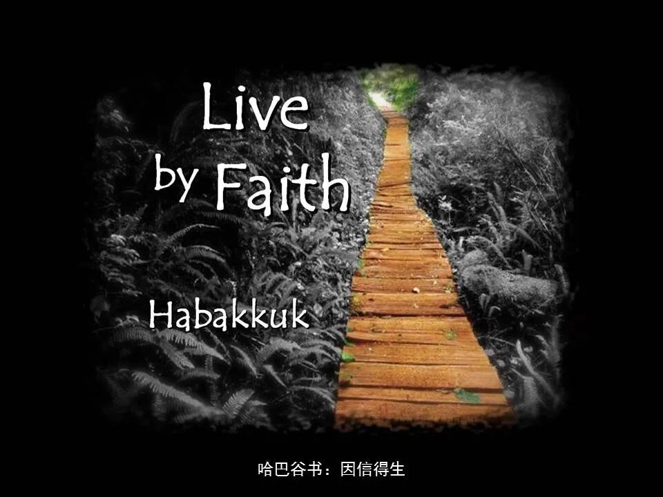 圣经图表——《哈巴谷书》(图17)