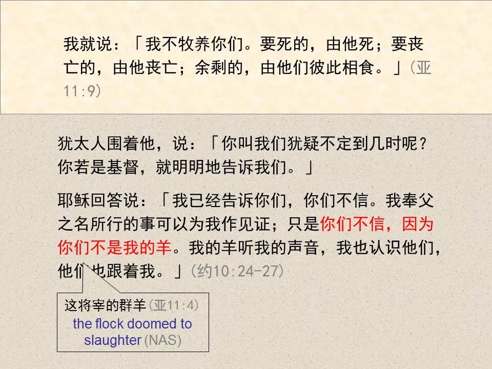 圣经图表——《撒迦利亚书》(图78)