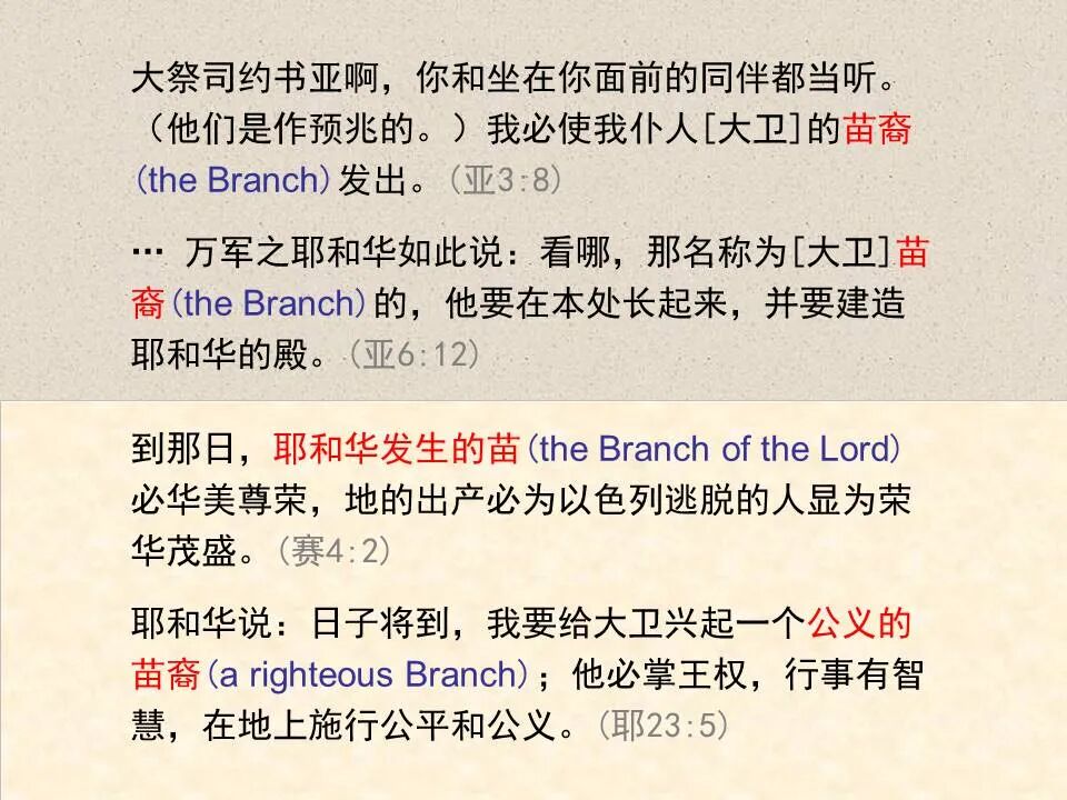 圣经图表——《撒迦利亚书》(图54)