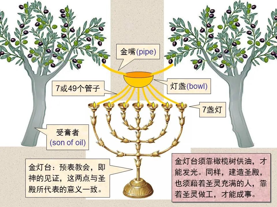 圣经图表——《撒迦利亚书》(图23)