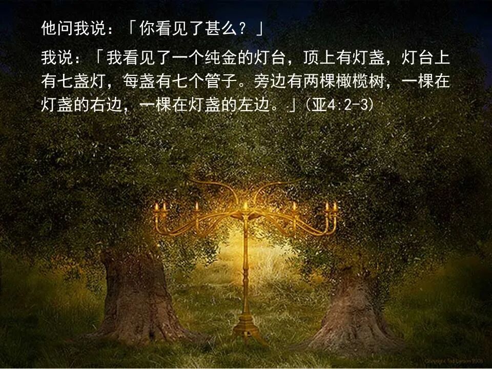 圣经图表——《撒迦利亚书》(图21)