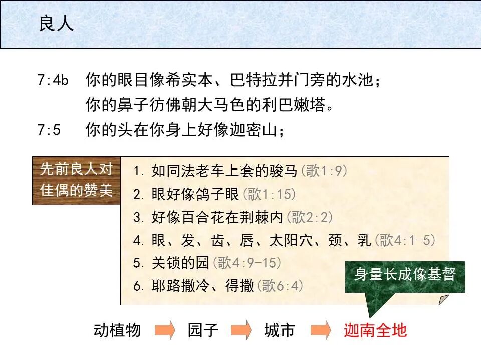 圣经图表——《雅歌》(图62)