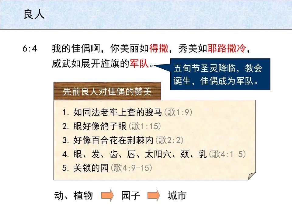 圣经图表——《雅歌》(图52)