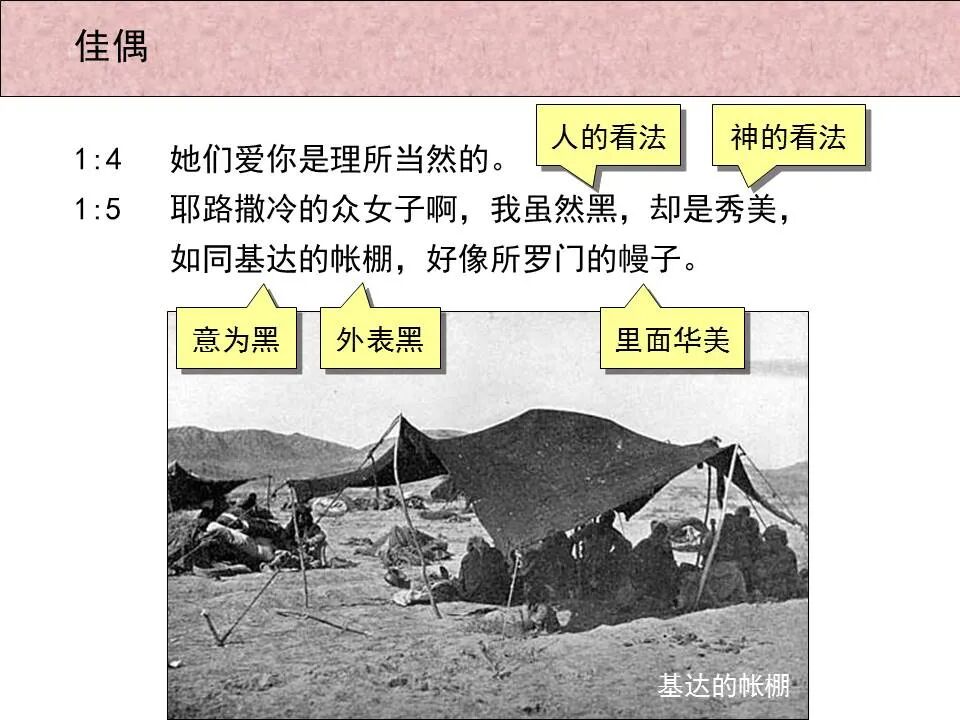 圣经图表——《雅歌》(图4)