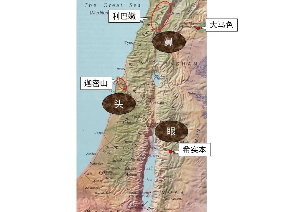 圣经图表——《雅歌》(图61)