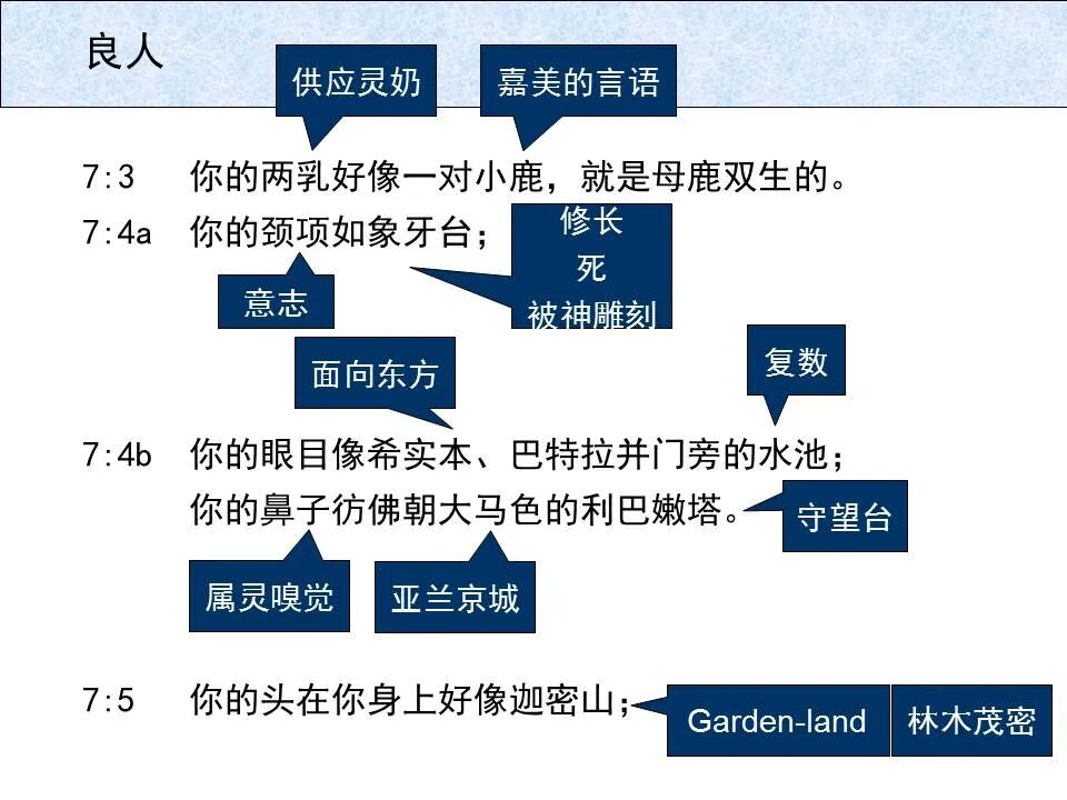 圣经图表——《雅歌》(图60)