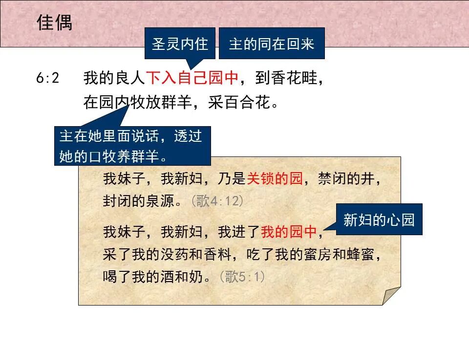 圣经图表——《雅歌》(图49)