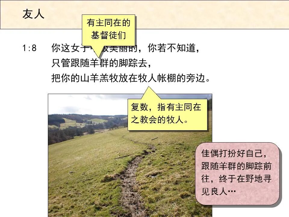 圣经图表——《雅歌》(图7)