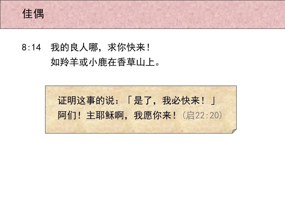 圣经图表——《雅歌》(图76)