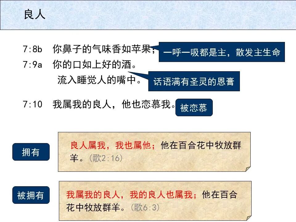 圣经图表——《雅歌》(图64)