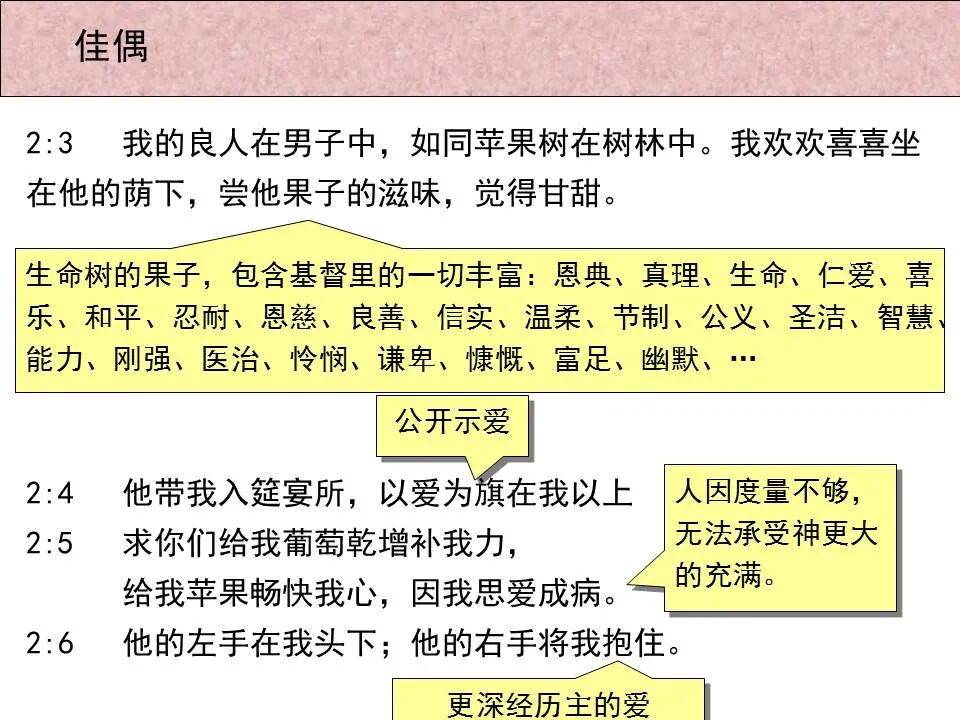 圣经图表——《雅歌》(图14)