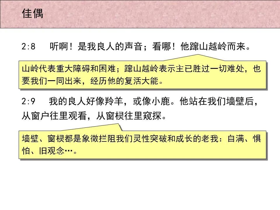 圣经图表——《雅歌》(图17)