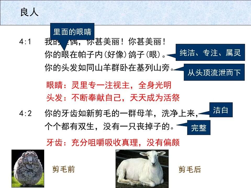 圣经图表——《雅歌》(图27)