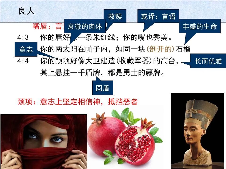 圣经图表——《雅歌》(图28)