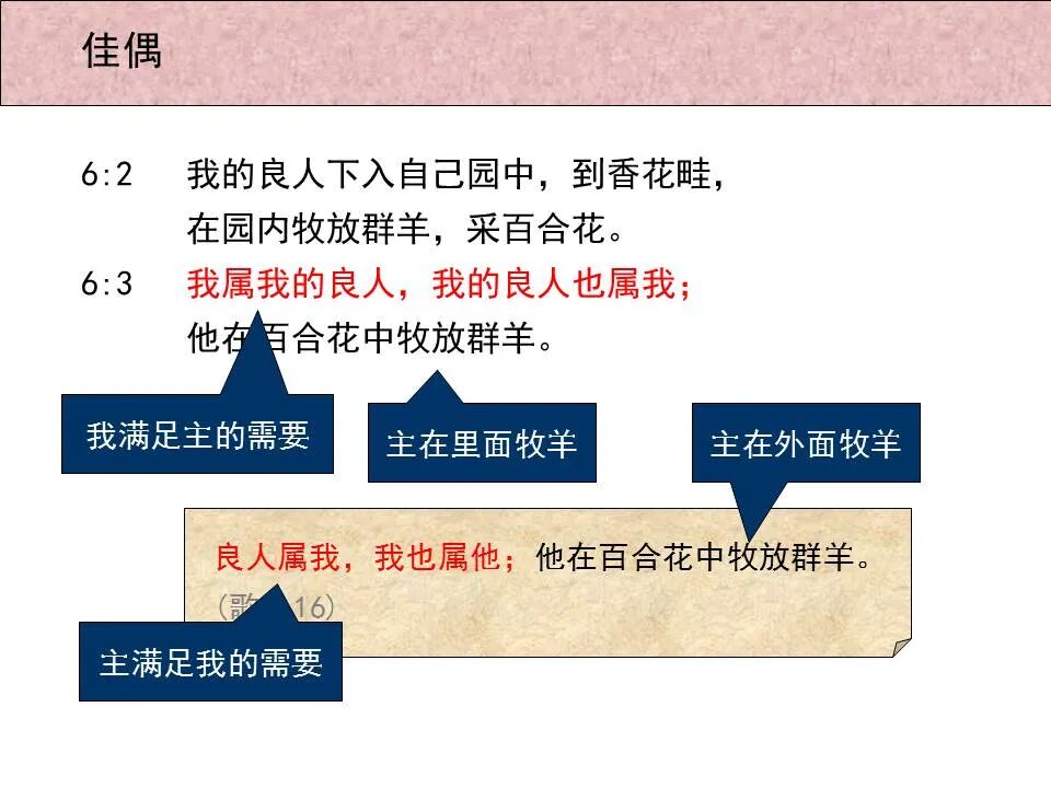圣经图表——《雅歌》(图50)
