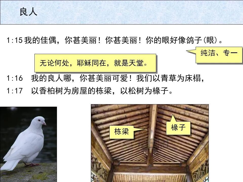 圣经图表——《雅歌》(图12)