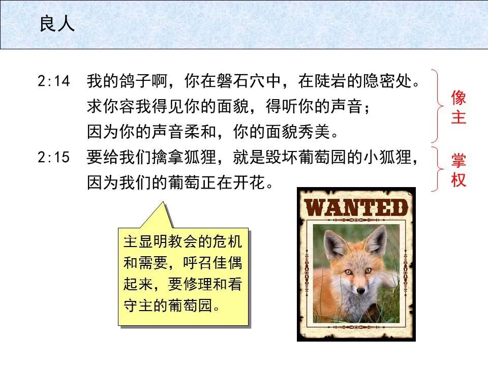 圣经图表——《雅歌》(图21)