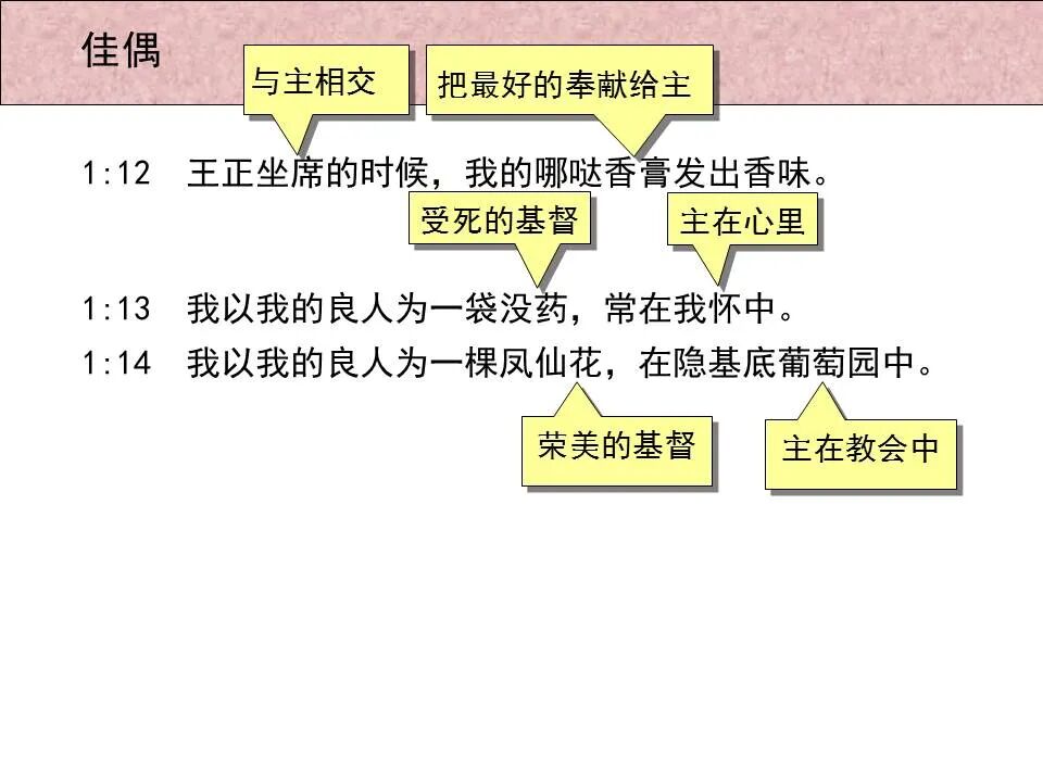 圣经图表——《雅歌》(图11)