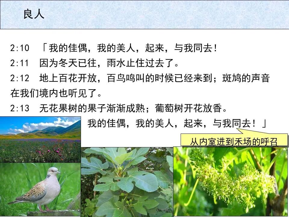 圣经图表——《雅歌》(图19)