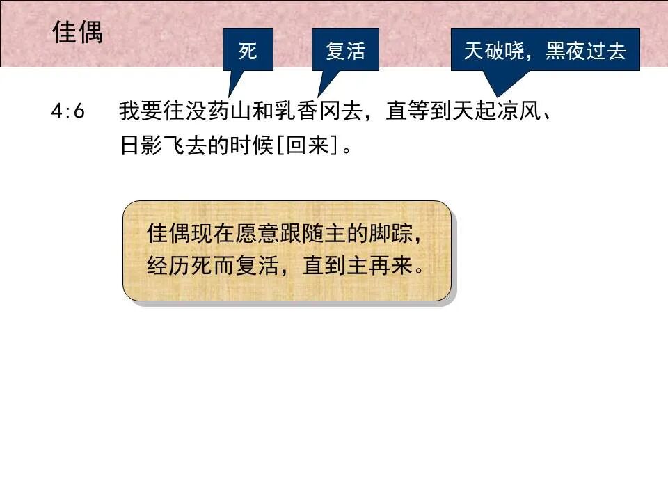 圣经图表——《雅歌》(图31)