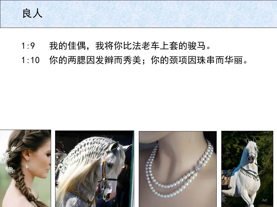 圣经图表——《雅歌》(图9)