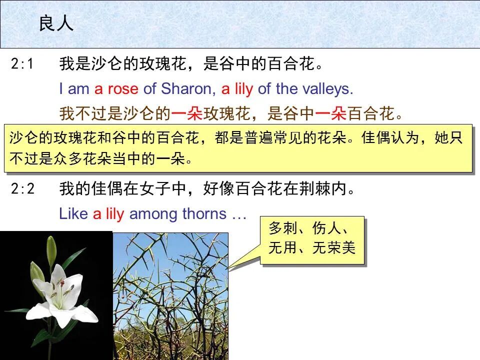 圣经图表——《雅歌》(图13)