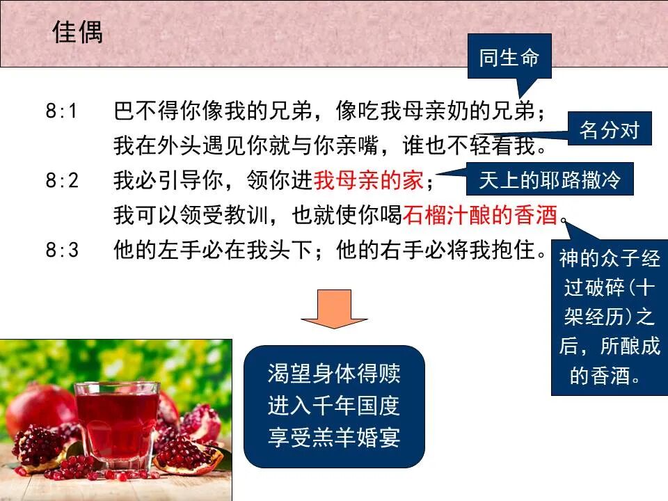 圣经图表——《雅歌》(图66)