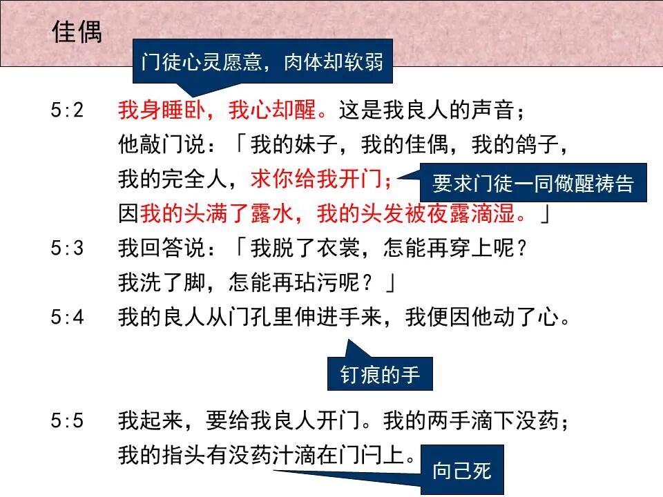 圣经图表——《雅歌》(图43)