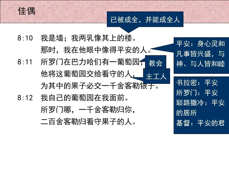 圣经图表——《雅歌》(图74)