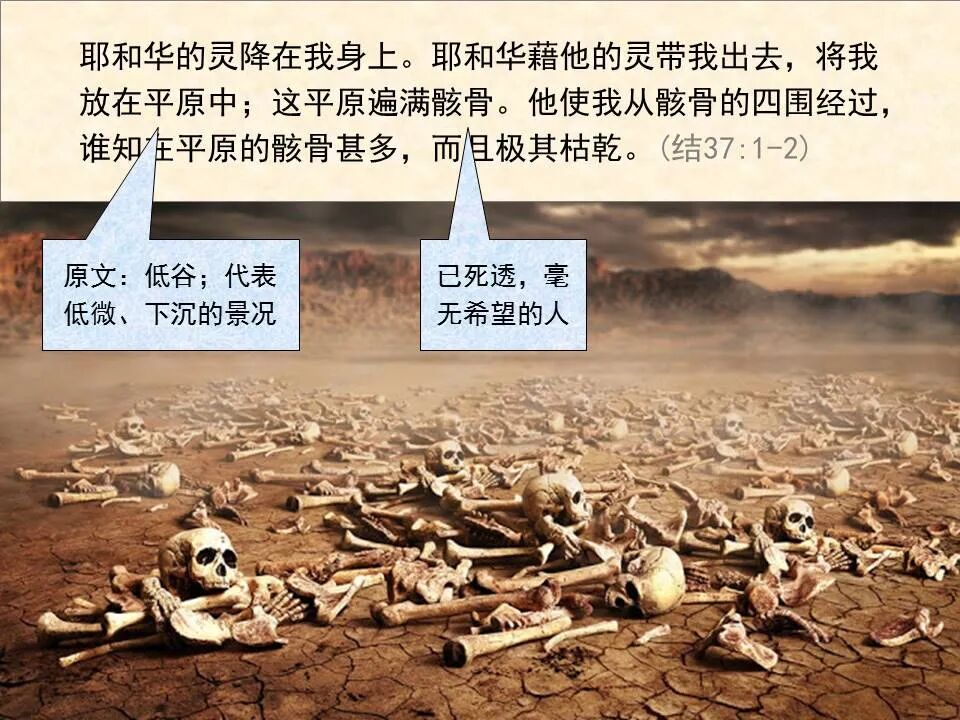 圣经图表——《以西结书》下(图30)