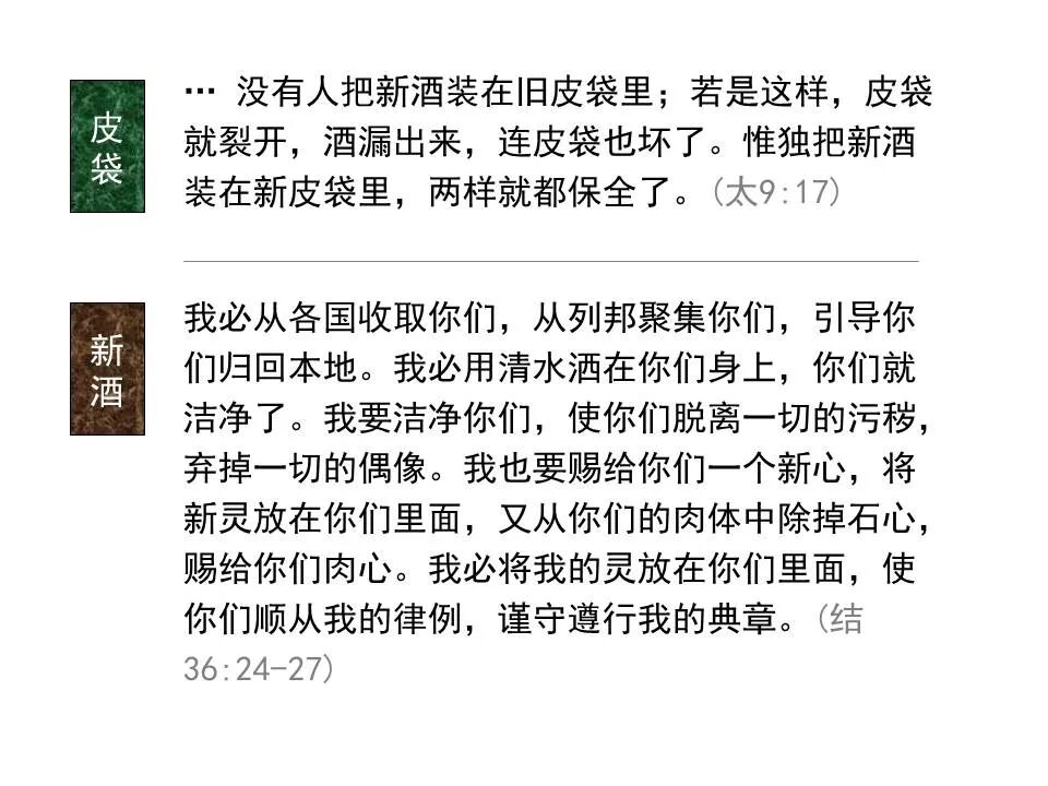 圣经图表——《以西结书》下(图29)