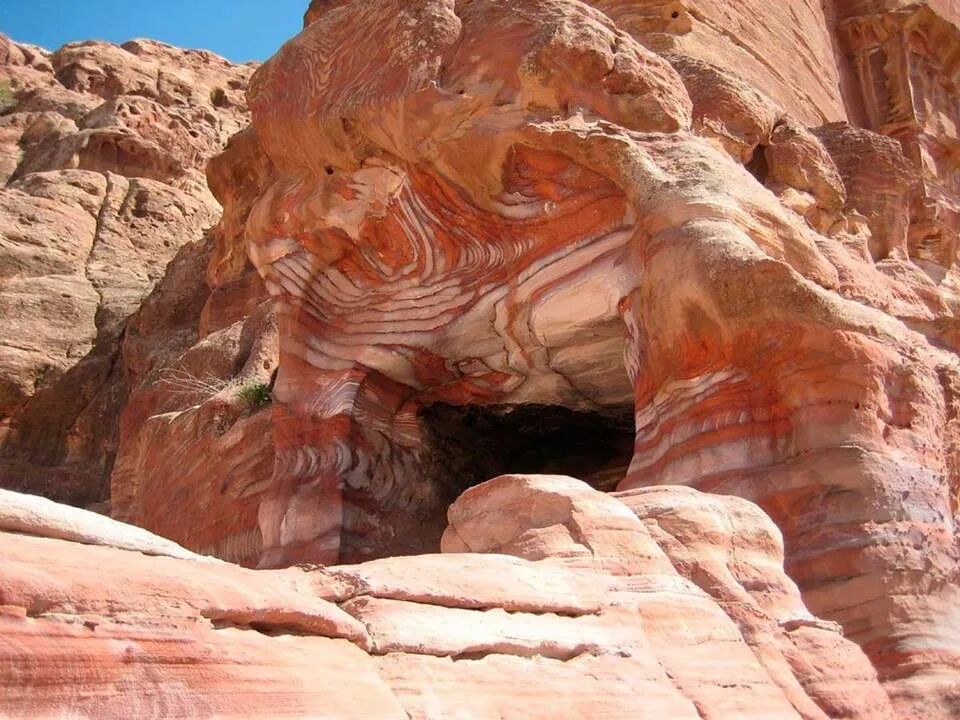 圣经图表——《俄巴底亚书》(图21)