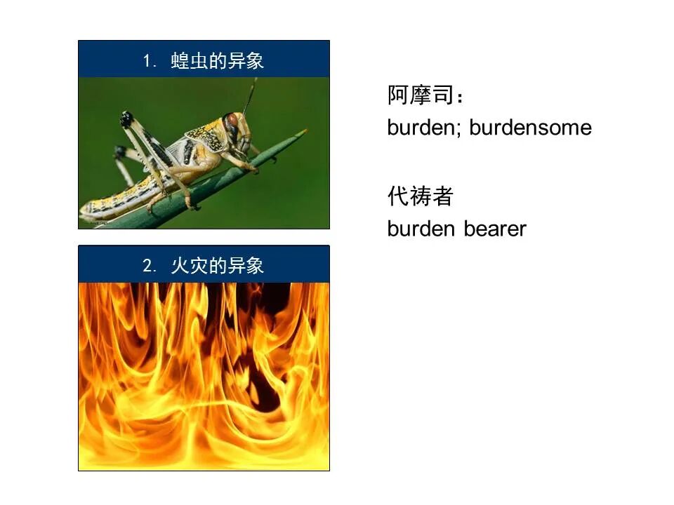 圣经图表——《阿摩司书》(图39)
